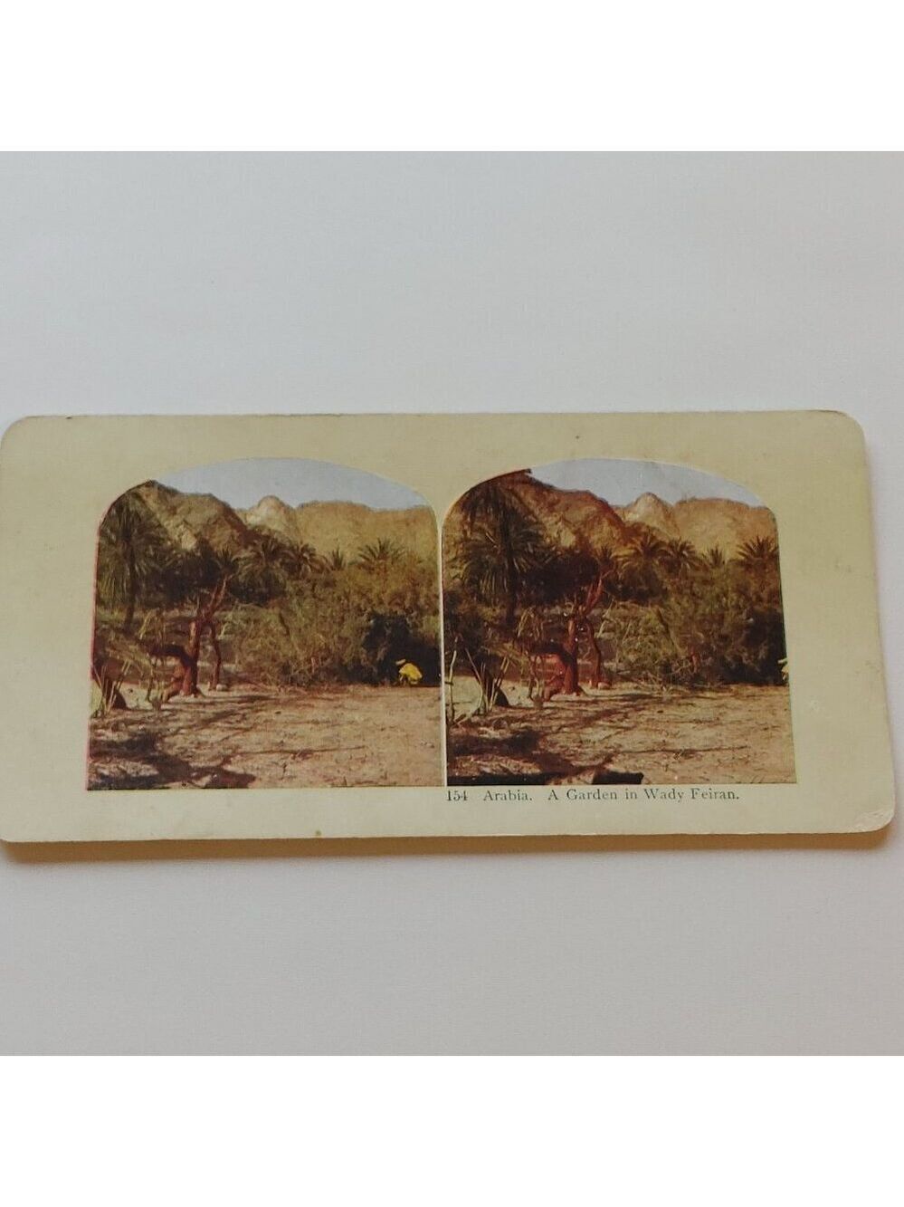 ANTIQUE STEREOGRAPH CARD Arabia/Pyramid of Ghizeh DOUBLE SIDED